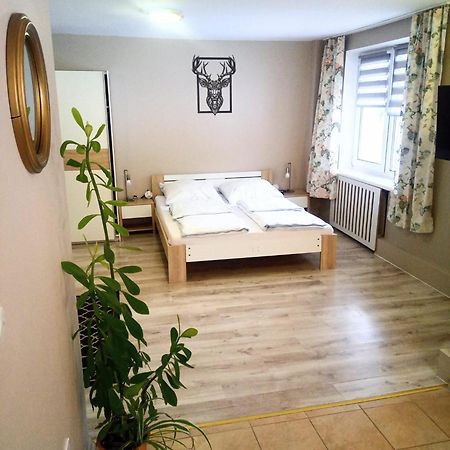 Апартаменты U Andrzeja, Parking W Cenie!! Карпач Экстерьер фото